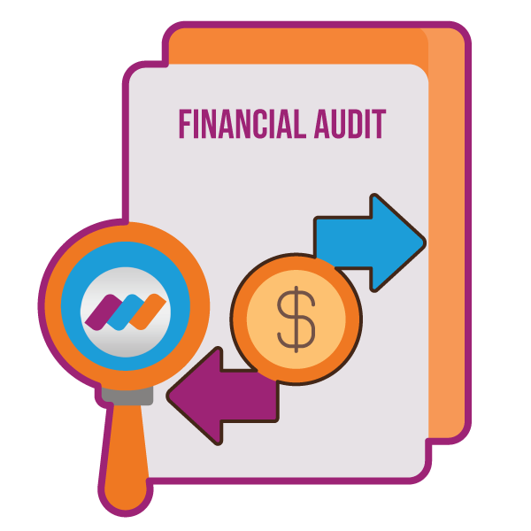 who need financial Audit