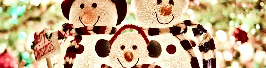 Annual Christmas Party